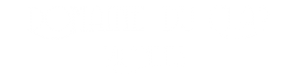 domaineduclap.com